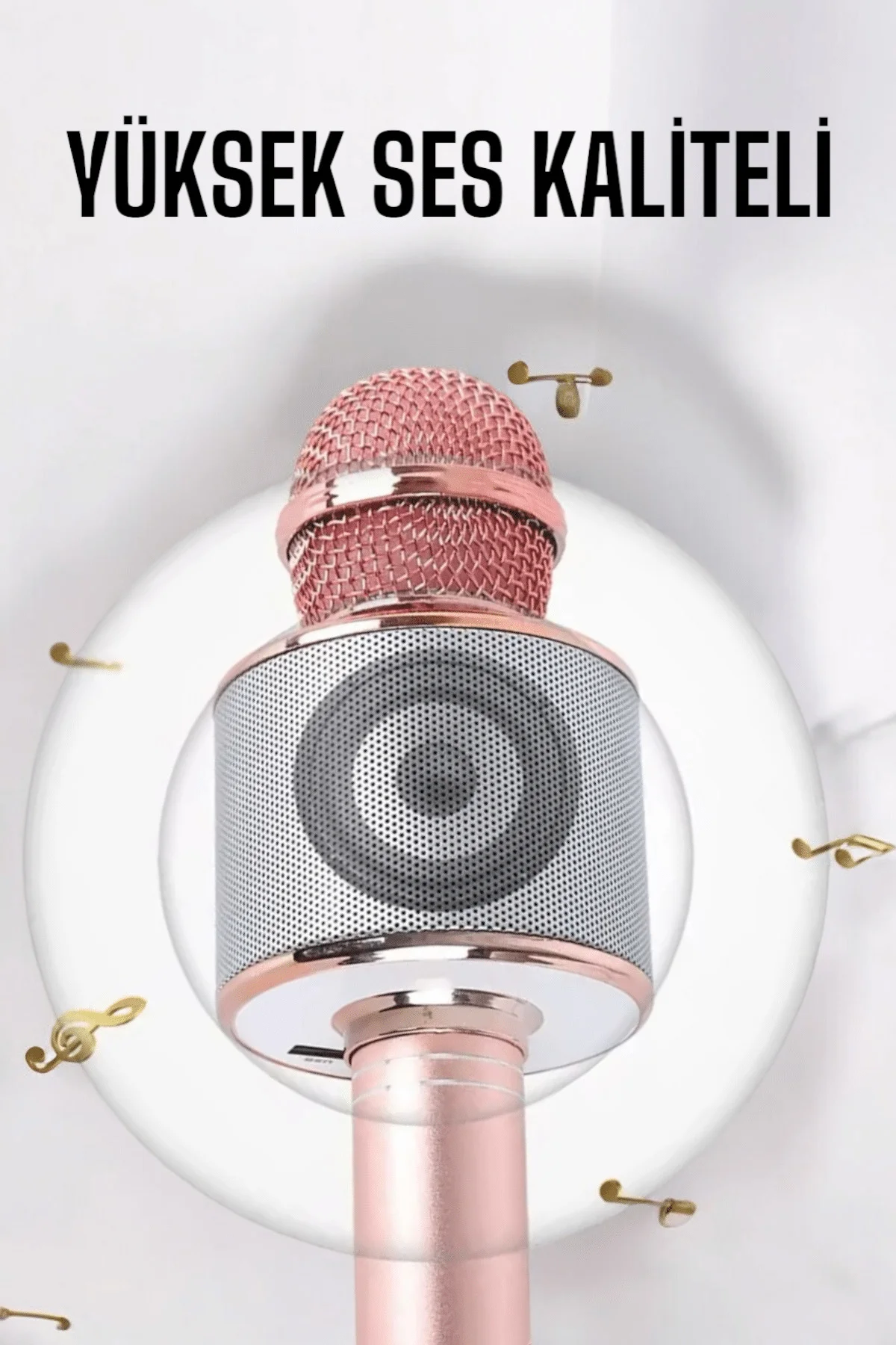 Taşınabilir Bluetooth Karaoke Mikrofon: Hafıza Kart Girişli, Etkileyici Performans Fiyatı, Yorumları ve Özellikleri