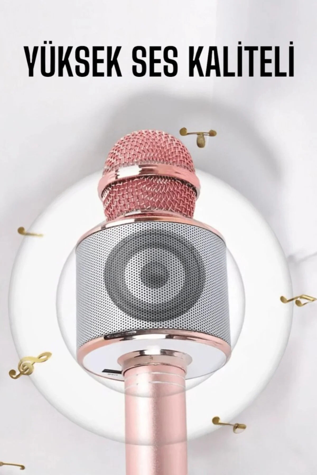 Taşınabilir Bluetooth Karaoke Mikrofon: Hafıza Kart Girişli, Etkileyici