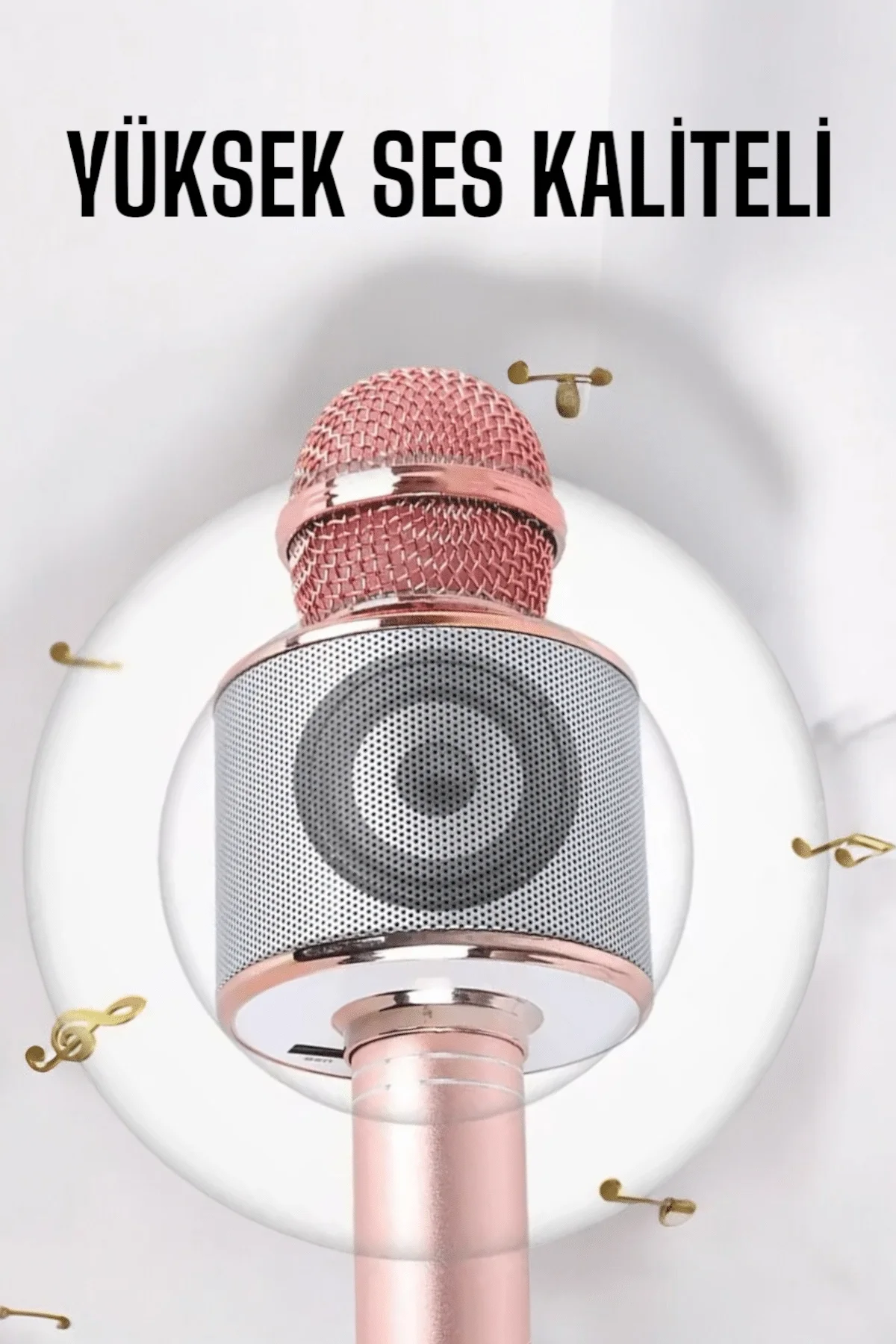 Taşınabilir Bluetooth Karaoke Mikrofon: Hafıza Kart Girişli, Etkileyici Performans Fiyatı, Yorumları ve Özellikleri