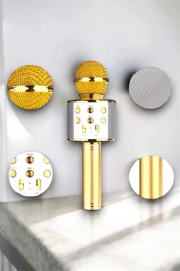 Taşınabilir Bluetooth Karaoke Mikrofon: Hafıza Kart Girişli, Etki