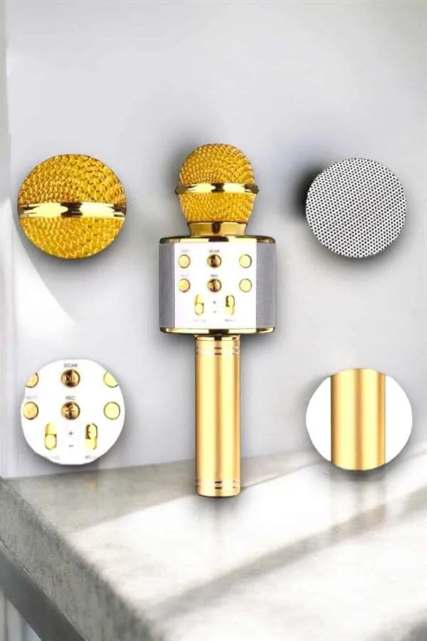 Taşınabilir Bluetooth Karaoke Mikrofon - Hafıza Kart Girişli, Kablosuz Parti Ses Çözümü
