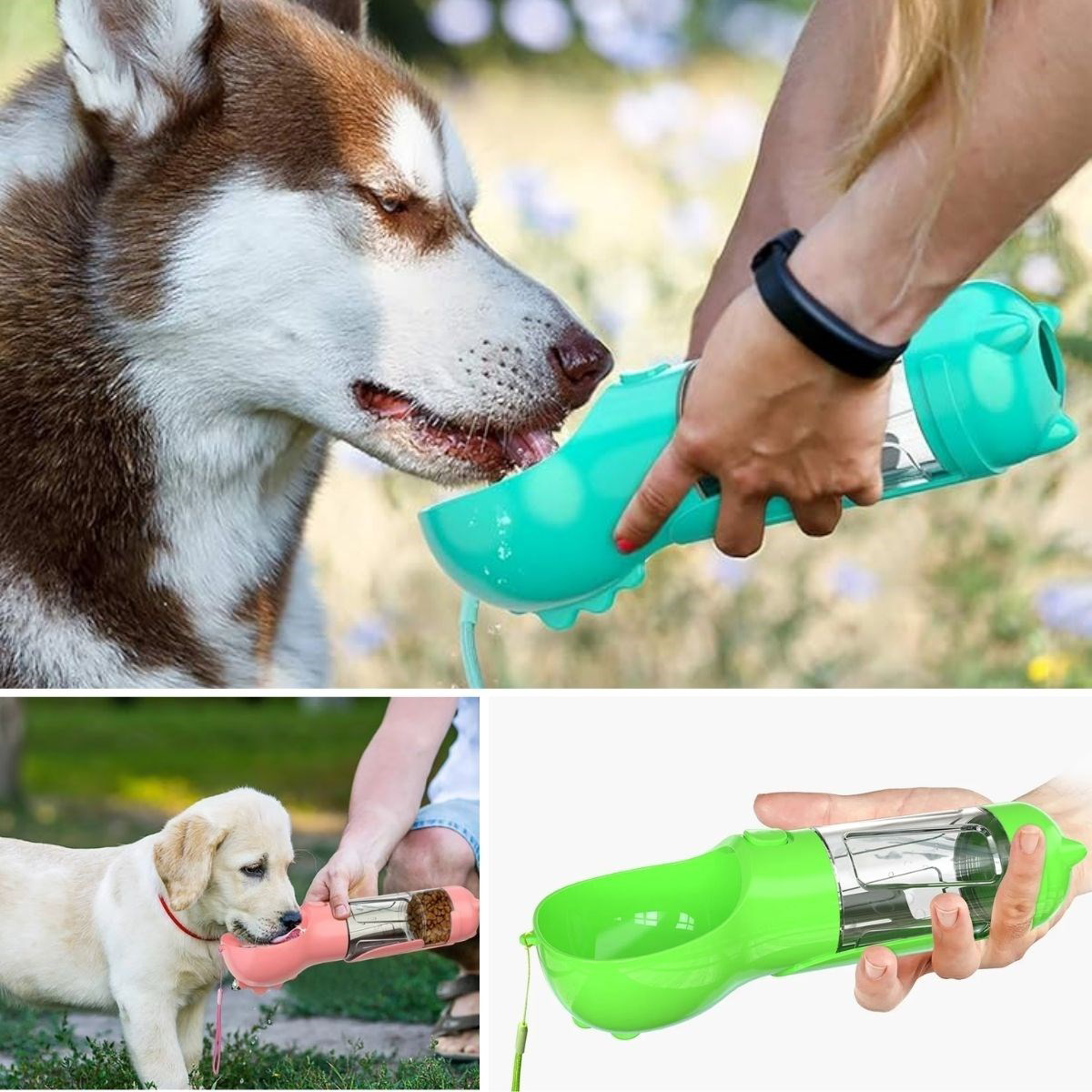 Taşınabilir Hazneli Mama Kaplı ,Kaka Poşetli Kedi,Köpek Suluğu-30
