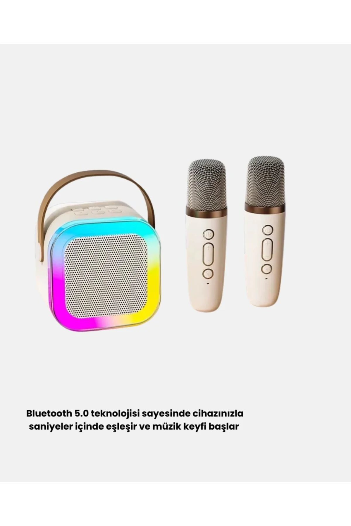 Taşınabilir Karaoke Hoparlör Bluetooth 5.0 Ve Çift Mikrofonlu