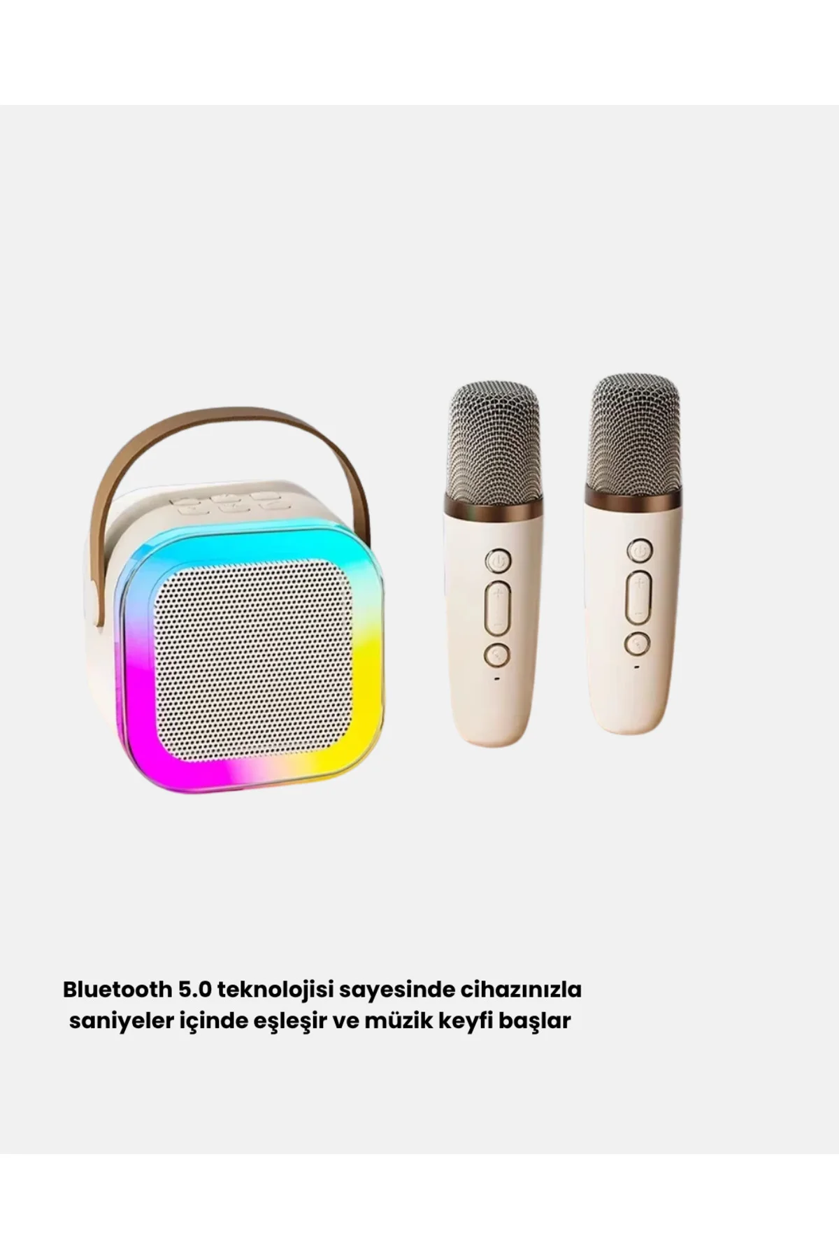 Taşınabilir Karaoke Hoparlör Bluetooth 5.0 ve Çift Mikrofonlu