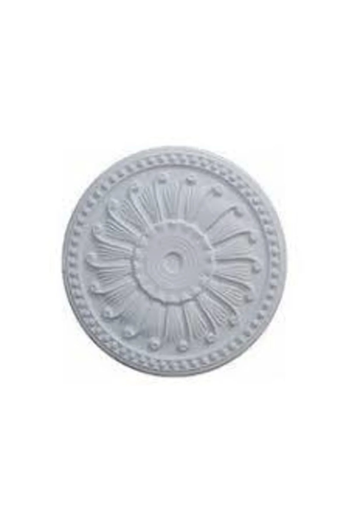 Tavan Salyangoz Göbek 50 cm 6 Adet