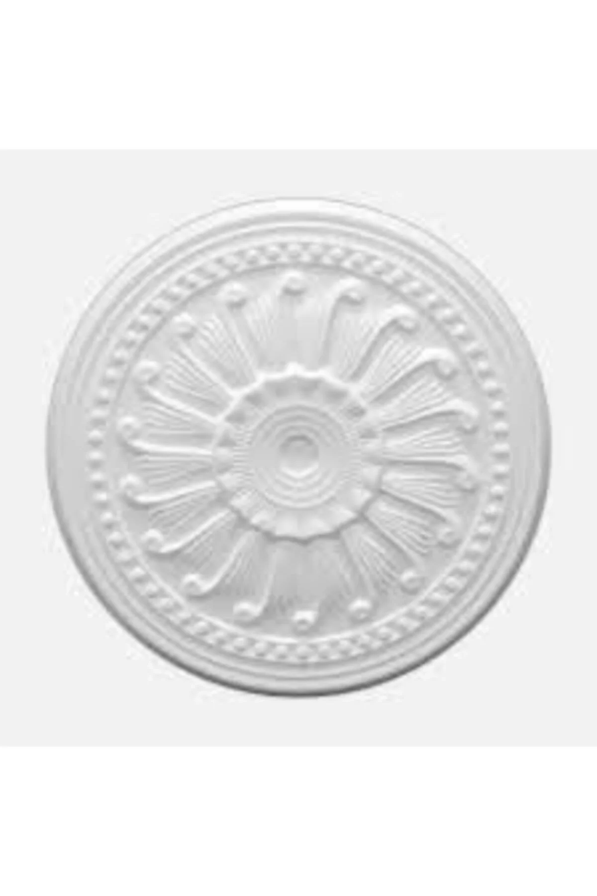 Tavan Salyangoz Göbek 50 cm 6 Adet
