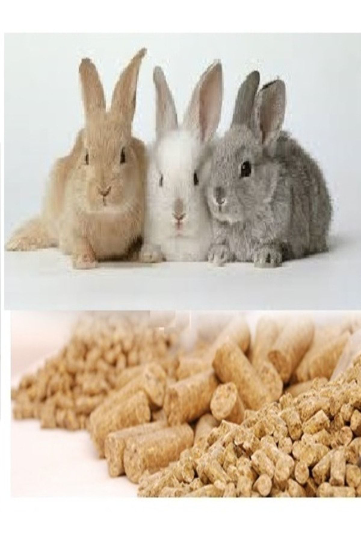 Kaliteli Tavşan Hamster Kemirgen Yemi 1 Kg