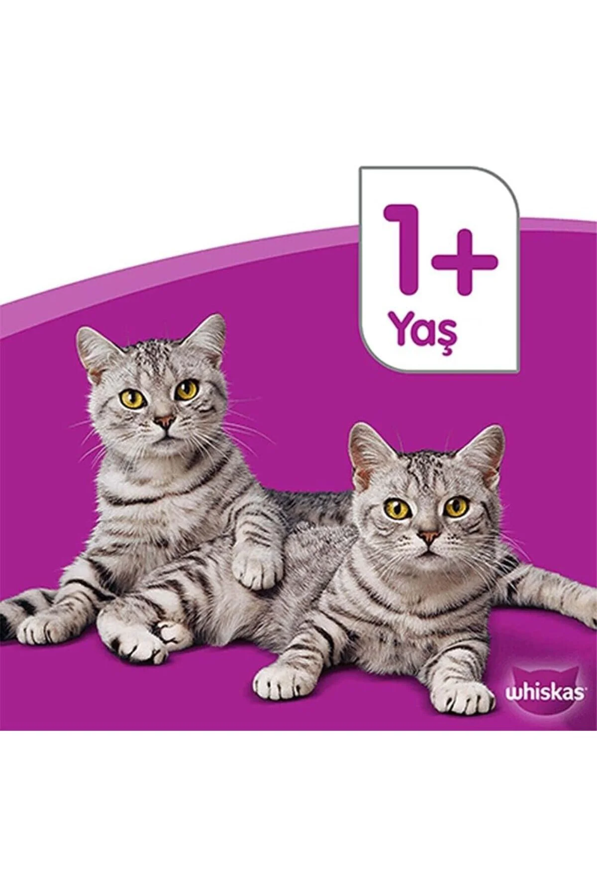 Tavuklu Poşet Kedi Yaş Mama 85 G Tekli Paket Tavuklu Poşet Kedi Yaş Mama 85 G Tekli Paket