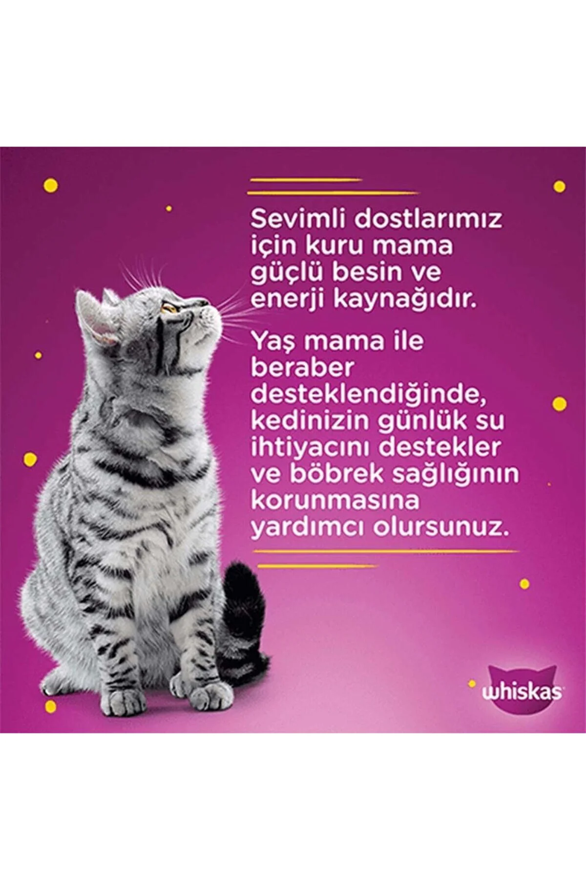Tavuklu Poşet Kedi Yaş Mama 85 G Tekli Paket Tavuklu Poşet Kedi Yaş Mama 85 G Tekli Paket