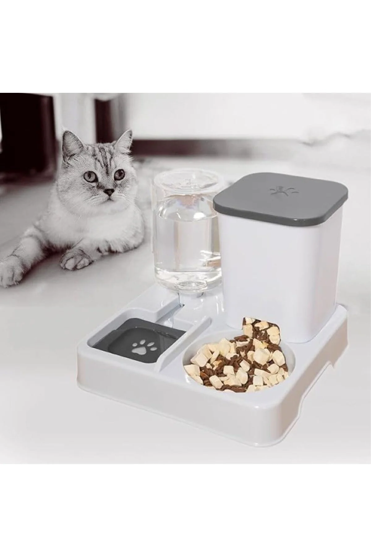 TechTic Otomatik Kedi&Köpek Mama Su Kabı 2'si 1 Arada Su Sebili E
