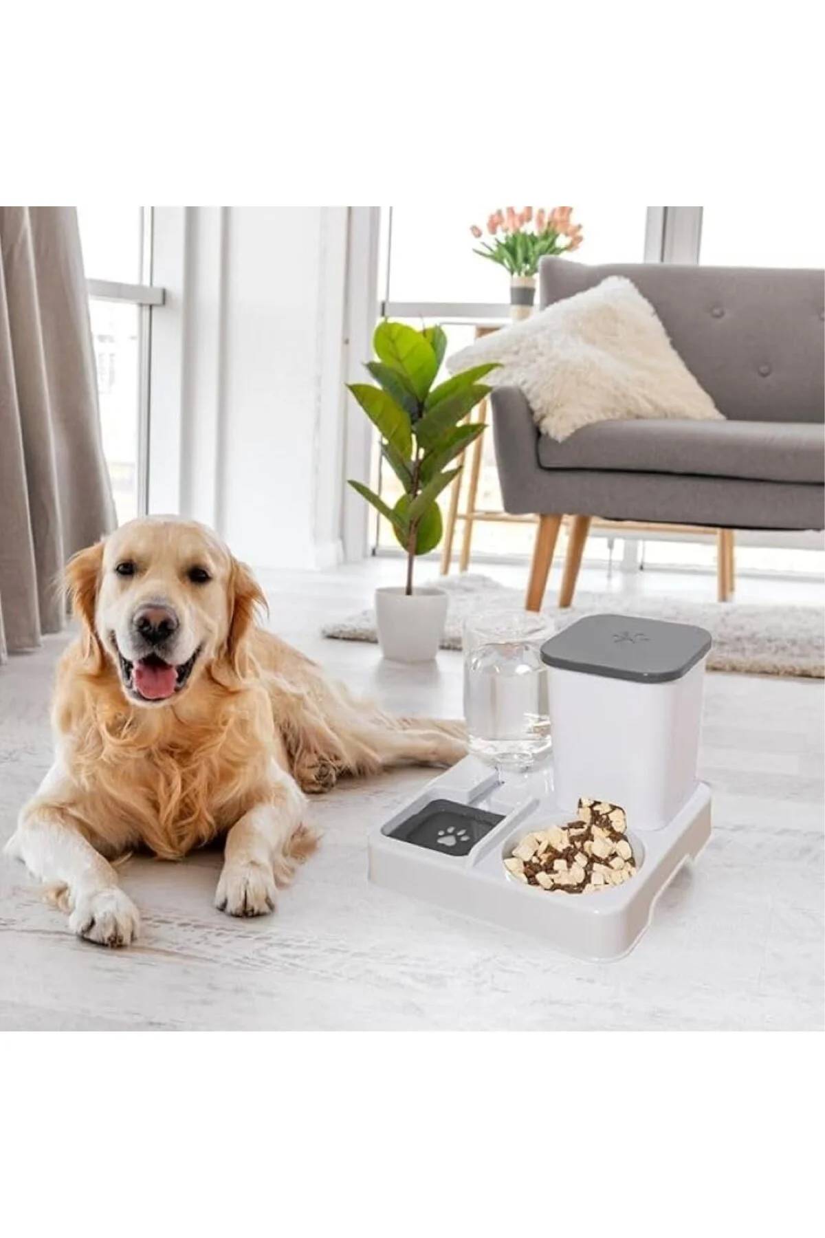 TechTic Otomatik Kedi&Köpek Mama Su Kabı 2'si 1 Arada Su Sebili E