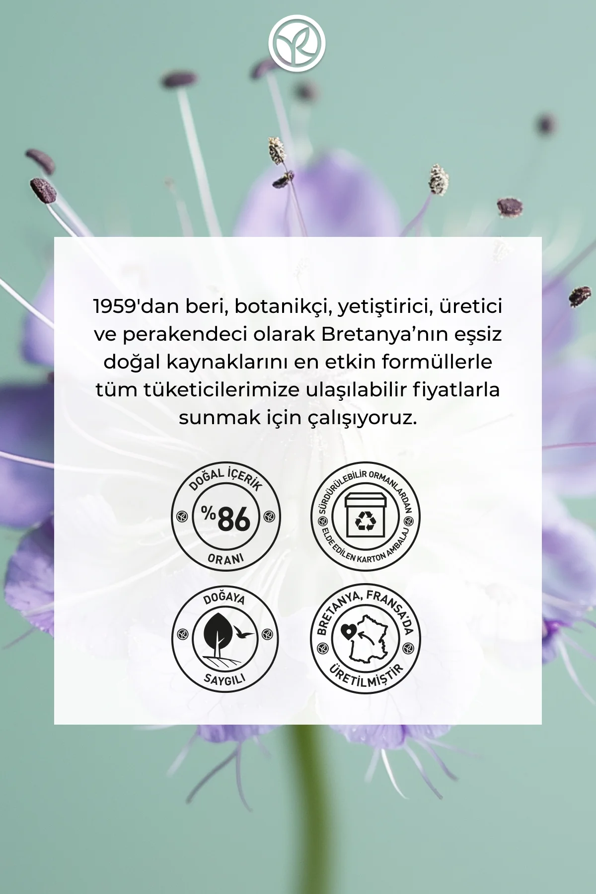 Teint Radiance Cildi Pürüzsüzleştirici, Nemlendirici ve Işıltı Ve
