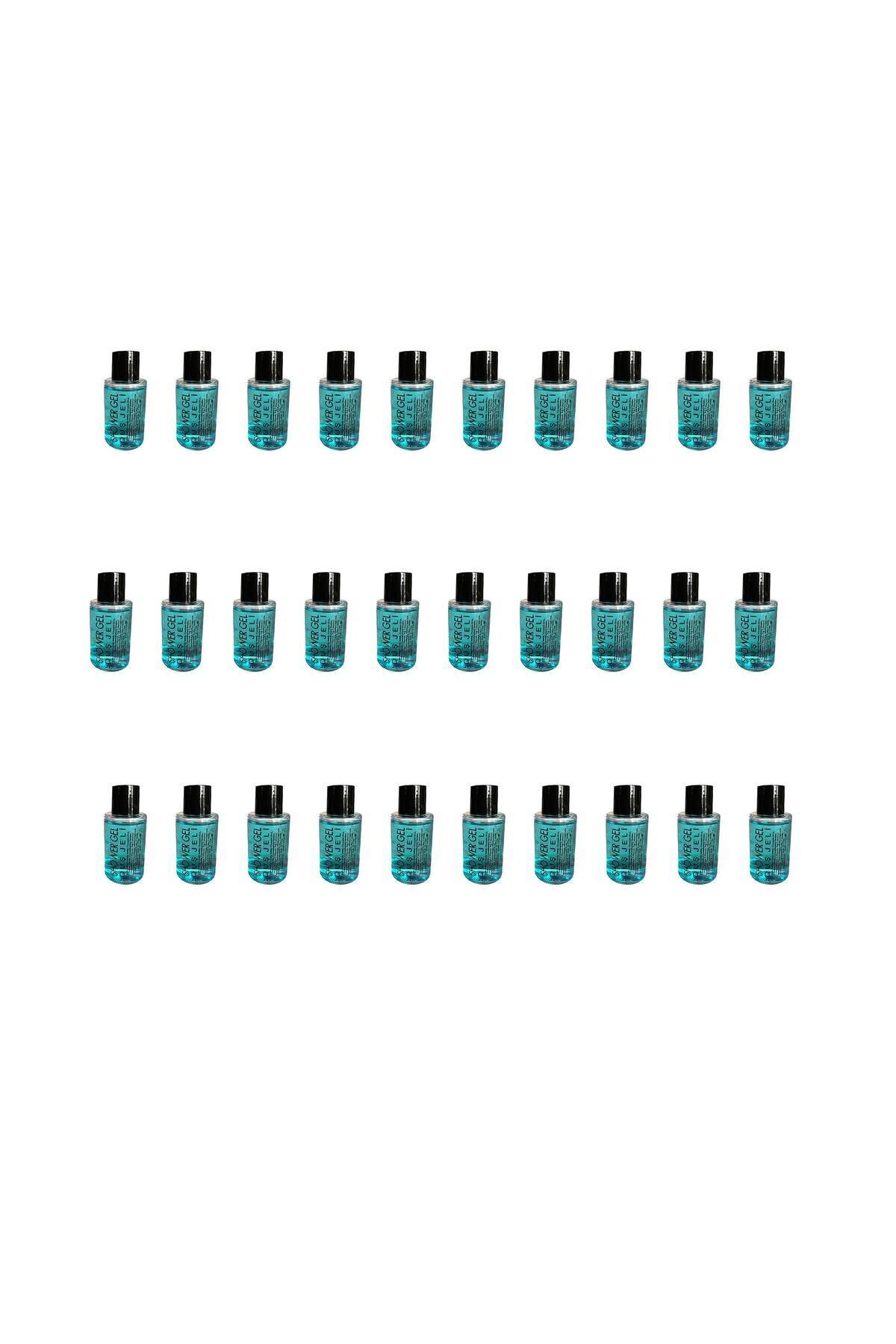 Tek Kullanımlık Mini Otel Seyehat Kamp Duş Jeli - Mavi - Şişe - 3