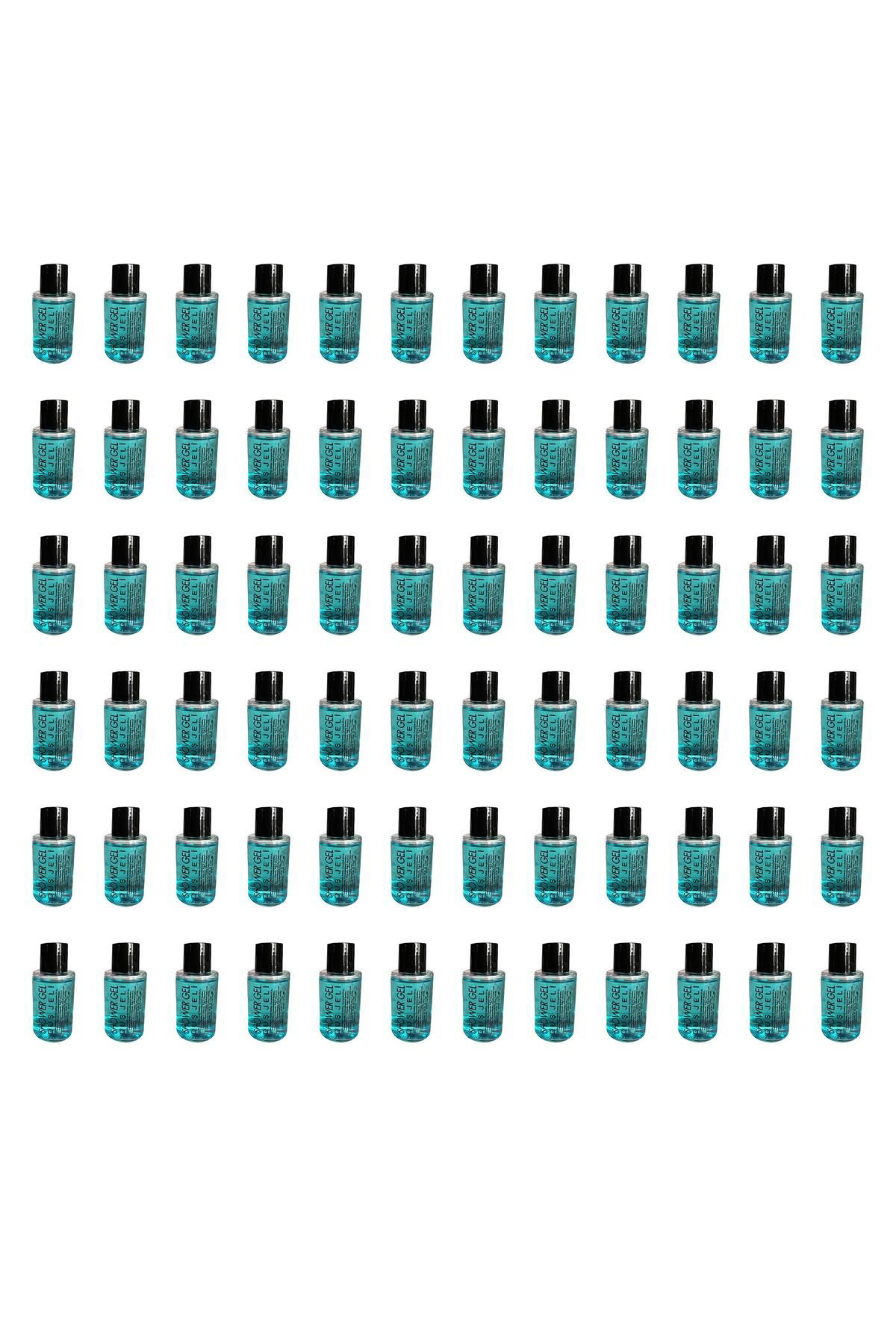 Tek Kullanımlık Mini Otel Seyehat Kamp Duş Jeli - Mavi - Şişe - 3