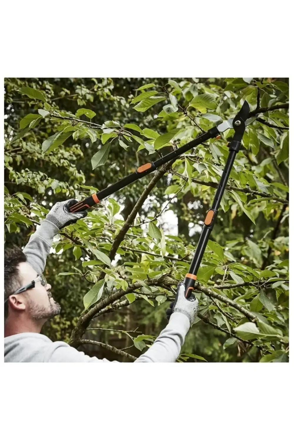 Teleskopik Yaş Dal Budama Makası 59,5 Cm-83.5 Cm Ayarlanabilir