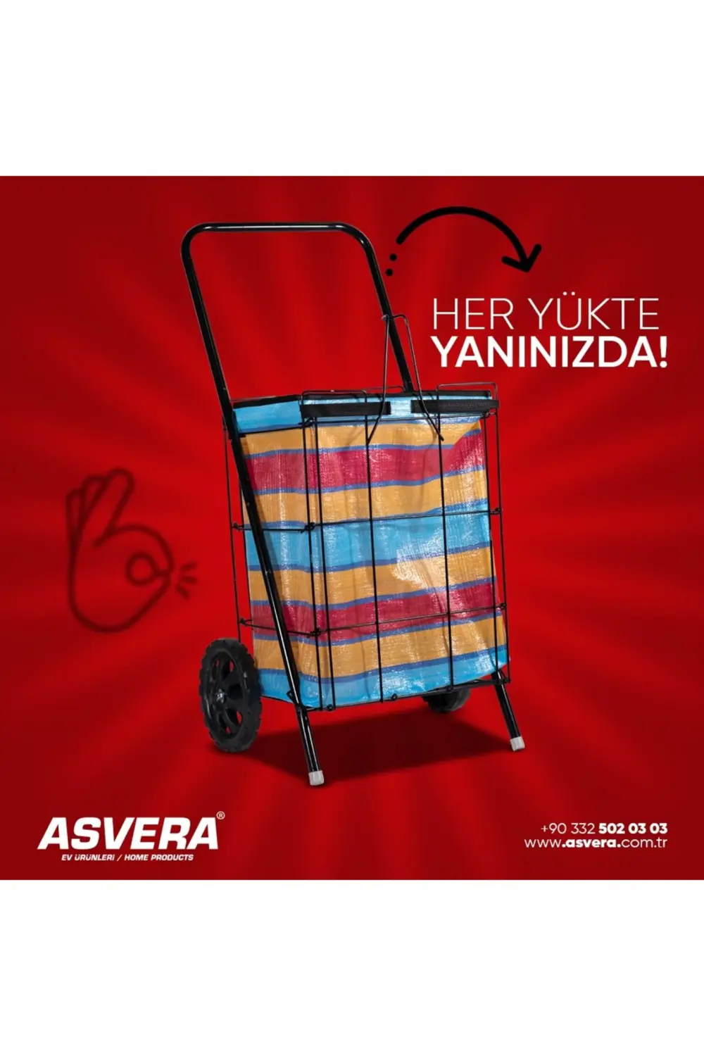 TELLİ PAZAR ARABASI