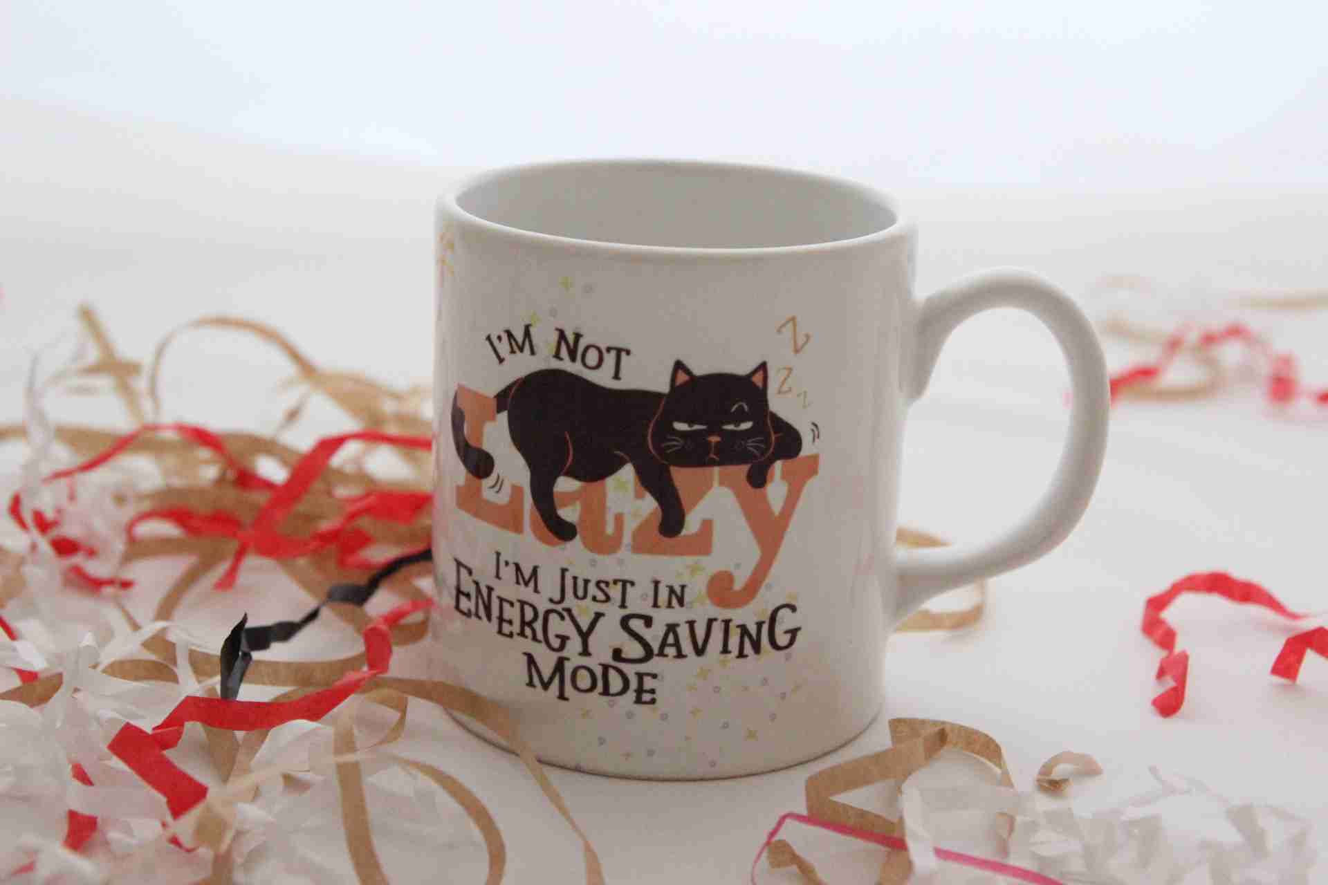 İhtiyaçavm Tembel Kedi Temalı Hediye Seti - Kupa Bardak Ve Baskılı Termos Hediye Kutusu