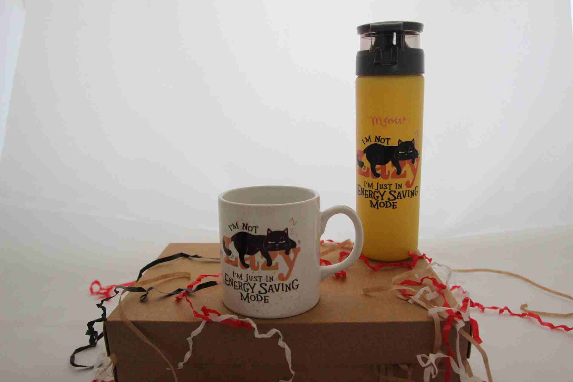 İhtiyaçavm Tembel Kedi Temalı Hediye Seti - Kupa Bardak Ve Baskılı Termos Hediye Kutusu