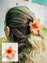 Tükkan Accessories Ten Lotus Çiçek Parlak Akrilik Kadin Vintage Mandal Toka-Mantok8 Tükkan Accessories Ten Lotus Çiçek Parlak Akrilik Kadin Vintage Mandal Toka-Mantok8