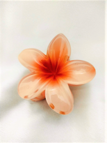 Tükkan Accessories Ten Lotus Çiçek Parlak Akrilik Kadin Vintage Mandal Toka-Mantok8 Tükkan Accessories Ten Lotus Çiçek Parlak Akrilik Kadin Vintage Mandal Toka-Mantok8