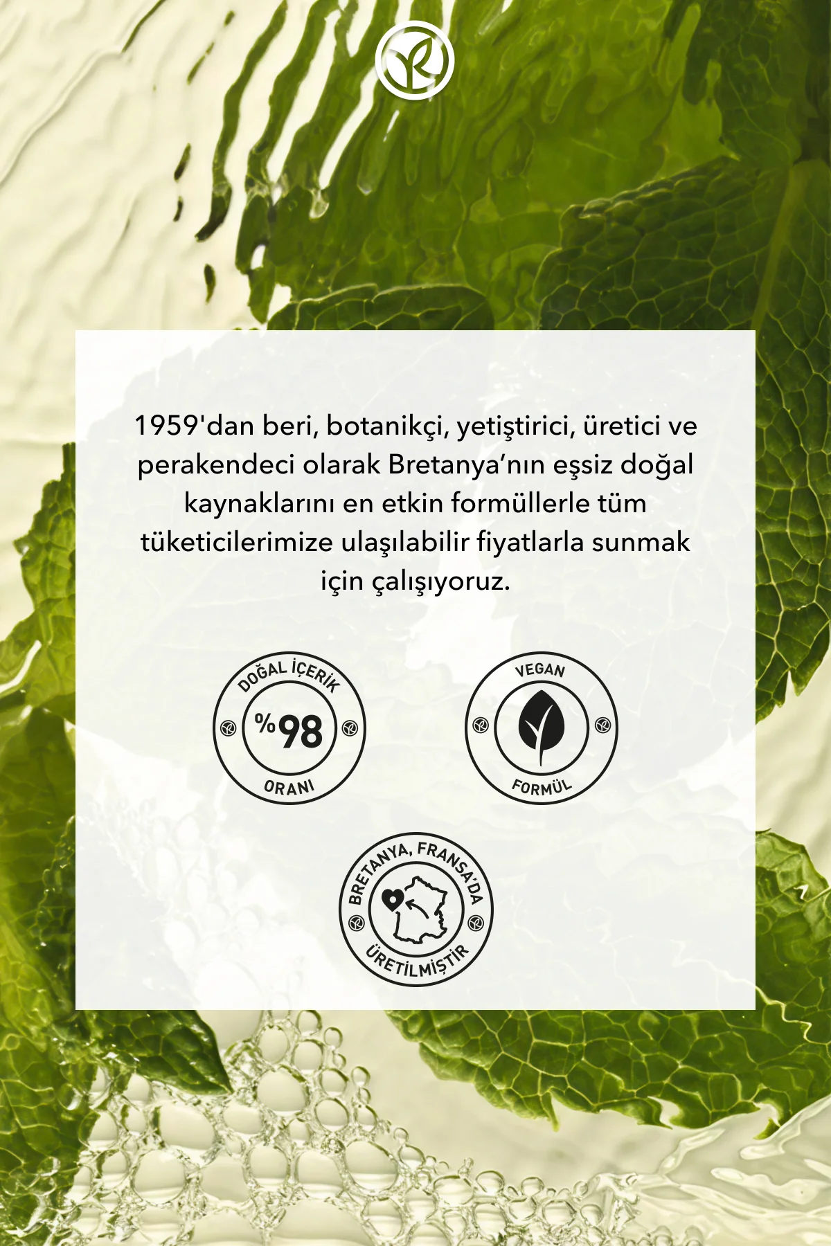 Ter Kokusu Önleyici 24 Saat Etkili Kadın-Erkek Roll-On Deodorant-