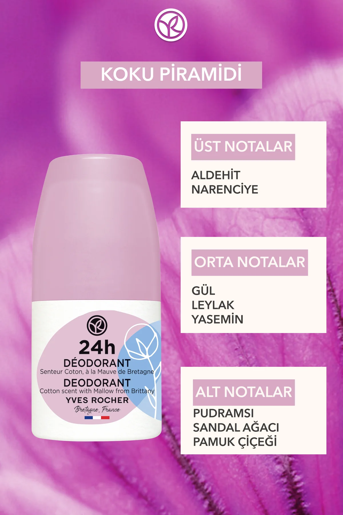 Ter Kokusu Önleyici 24 Saat Etkili Kadın Roll-On Deodorant- Pamuk