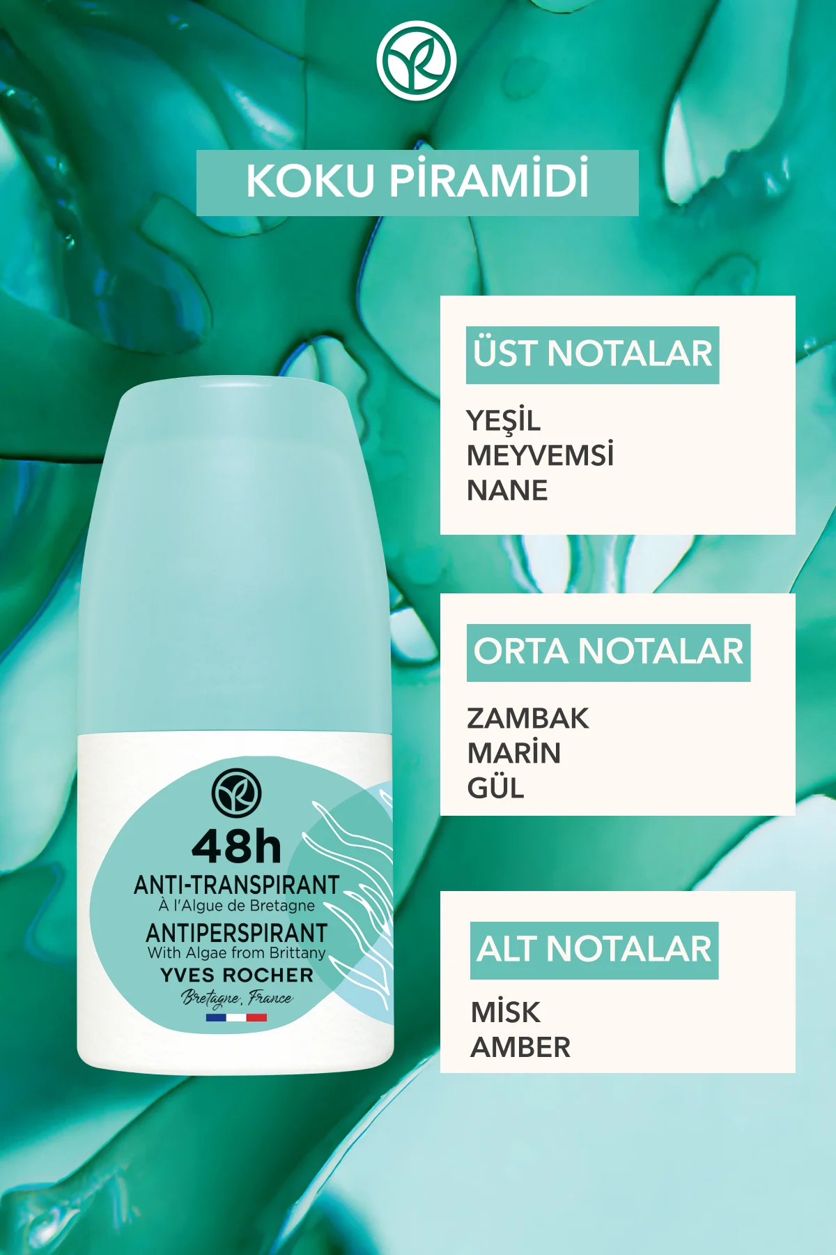 Ter Önleyici 48 saat etkili Kadın-Erkek Antiperspirant Roll-On - 