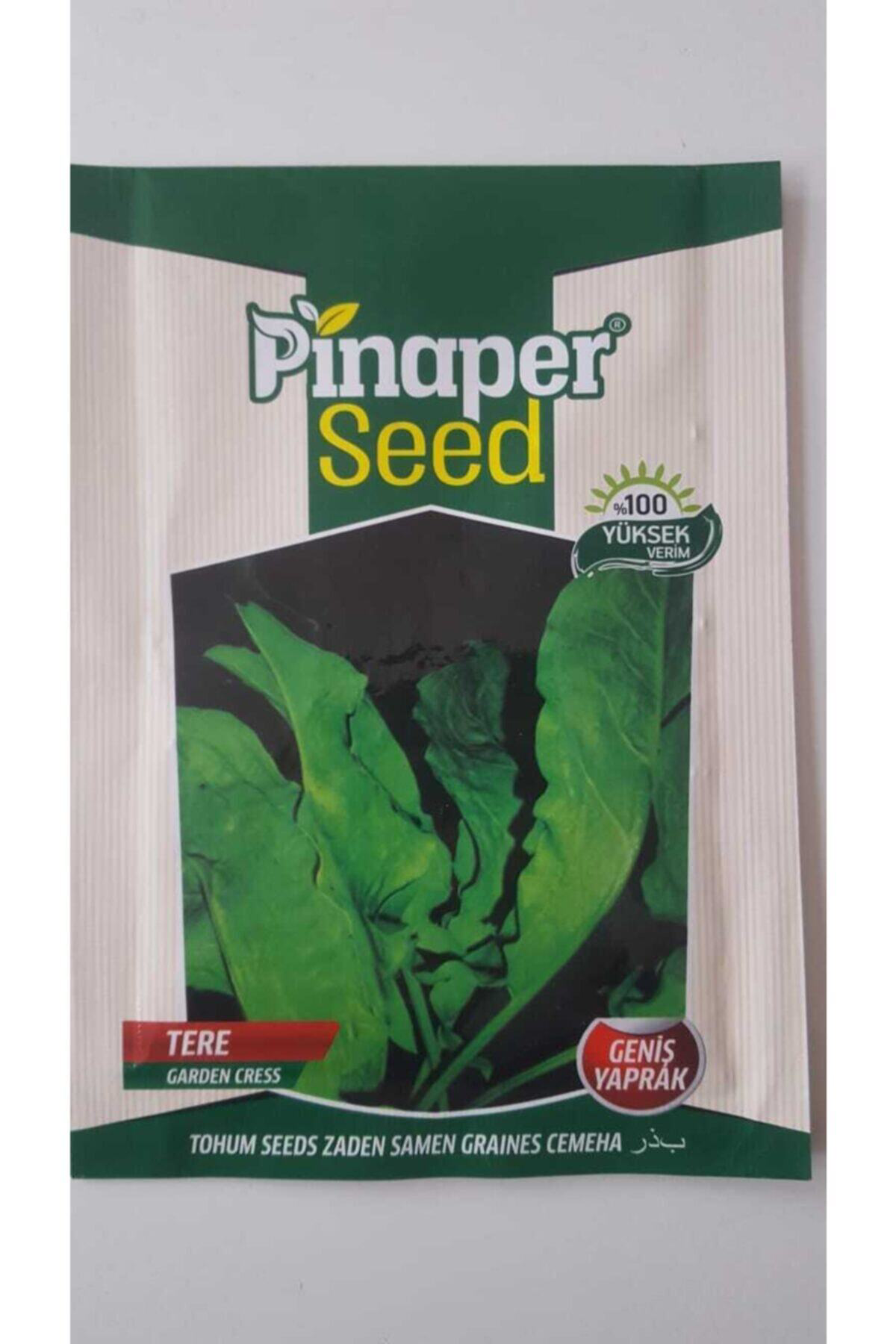 Tere (geniş Yaprak ) Tohumu 1 Paket %100 Yüksek Verimlidir