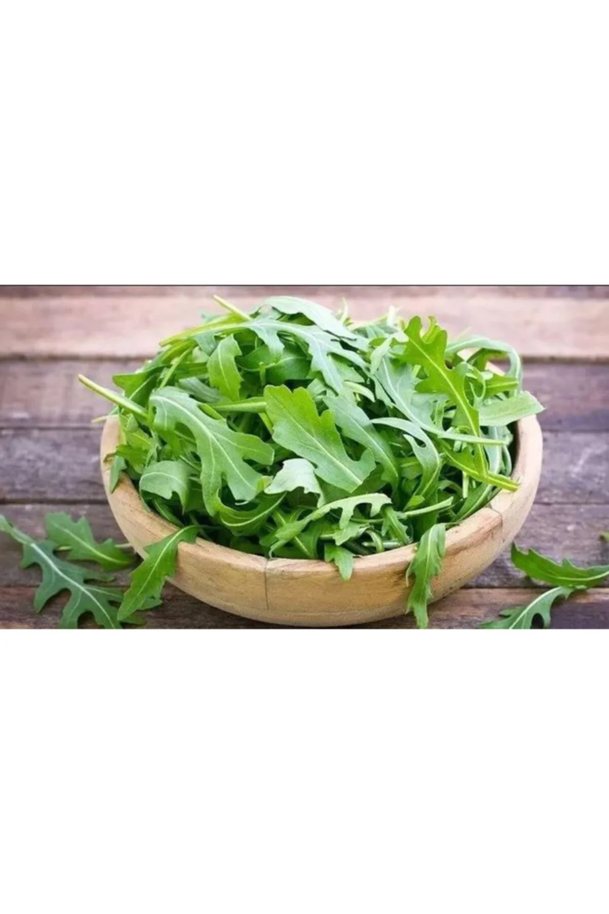 Tere Tohumu (20gr) Tere Tohumu (20gr)