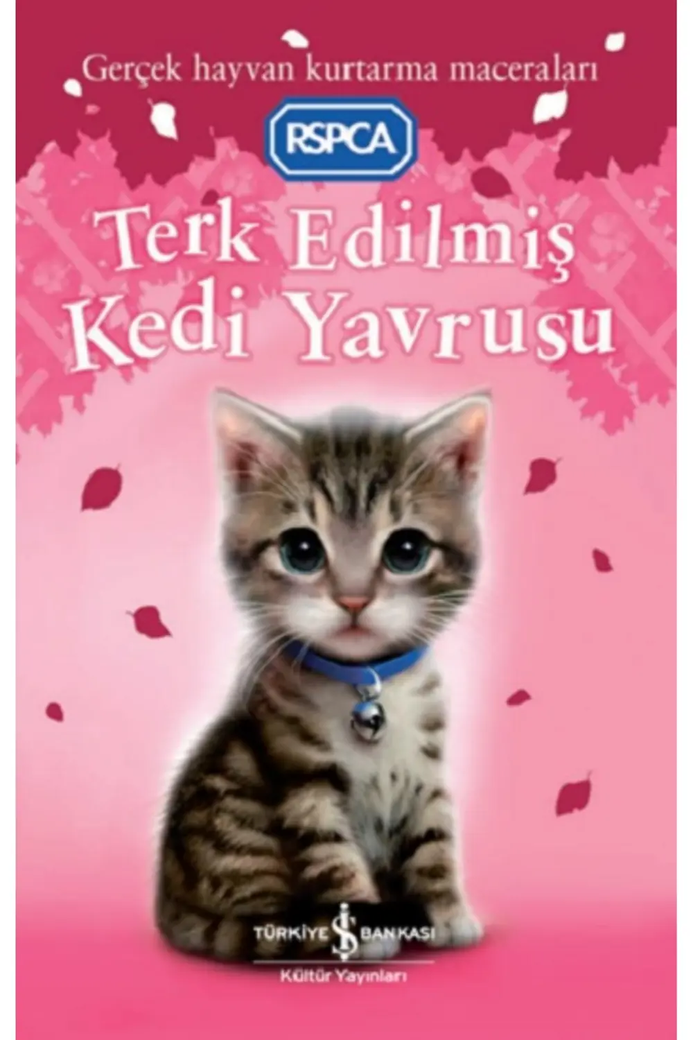 Terk Edilmiş Kedi Yavrusu Terk Edilmiş Kedi Yavrusu