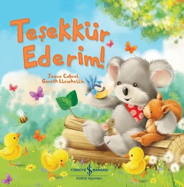 Teşekkür Ederim Fiyatı, Yorumları ve Özellikleri