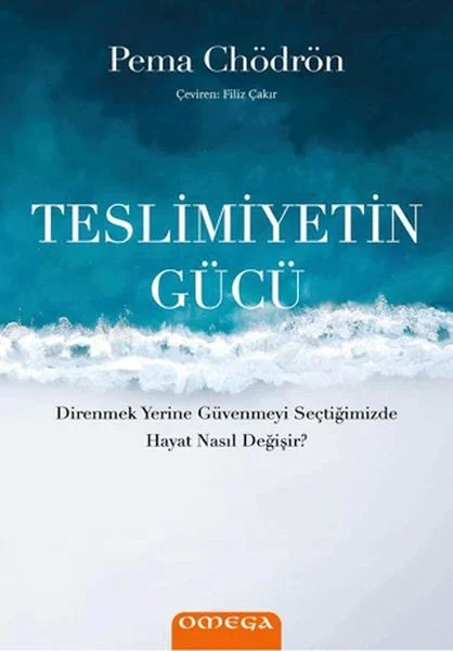 Teslimiyetin Gücü Fiyatı, Yorumları ve Özellikleri