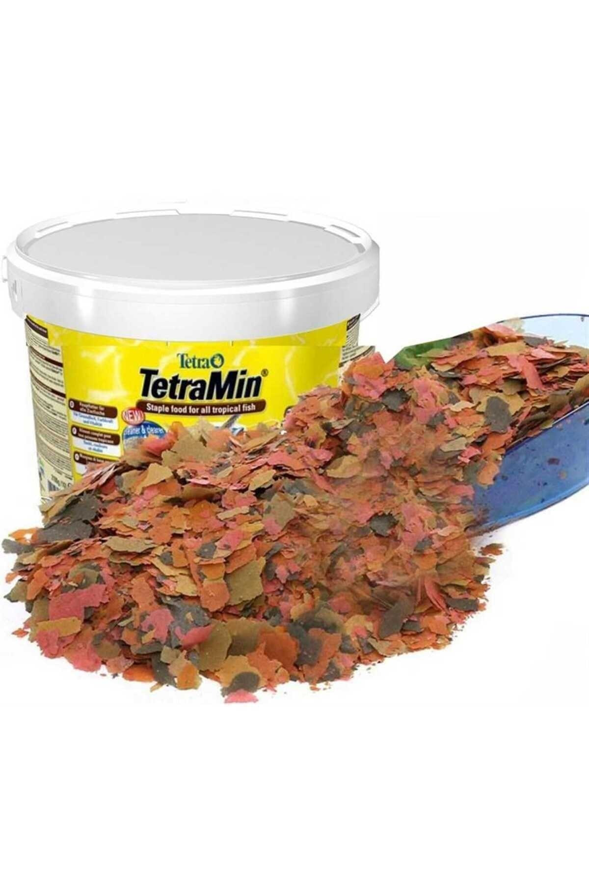 TetraMin Flakes Açık Yem 100 gr : 07/2028