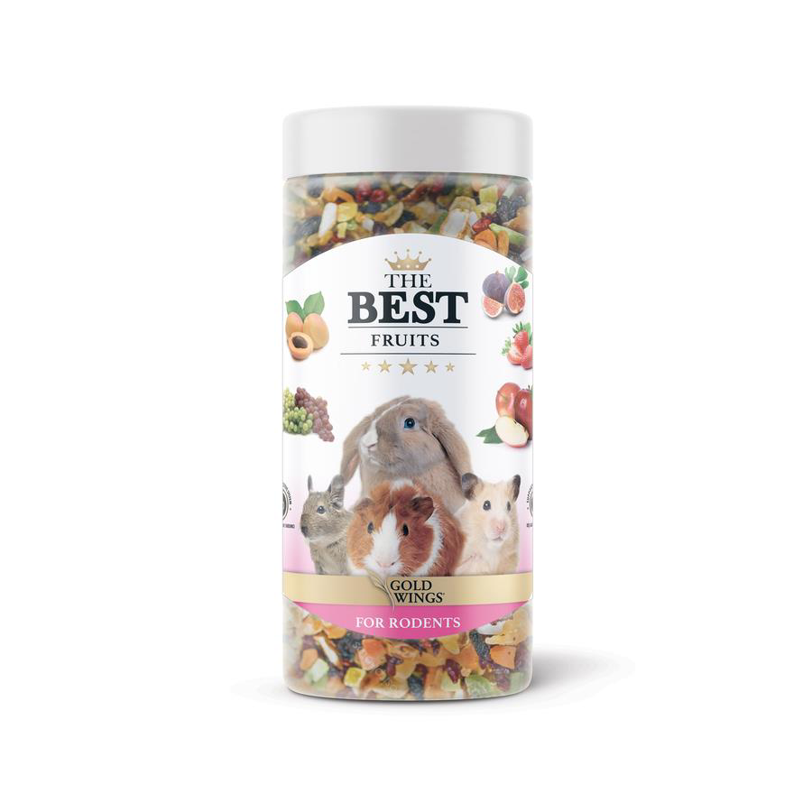 The Best Kemirgen Fruit Snack 150 gr