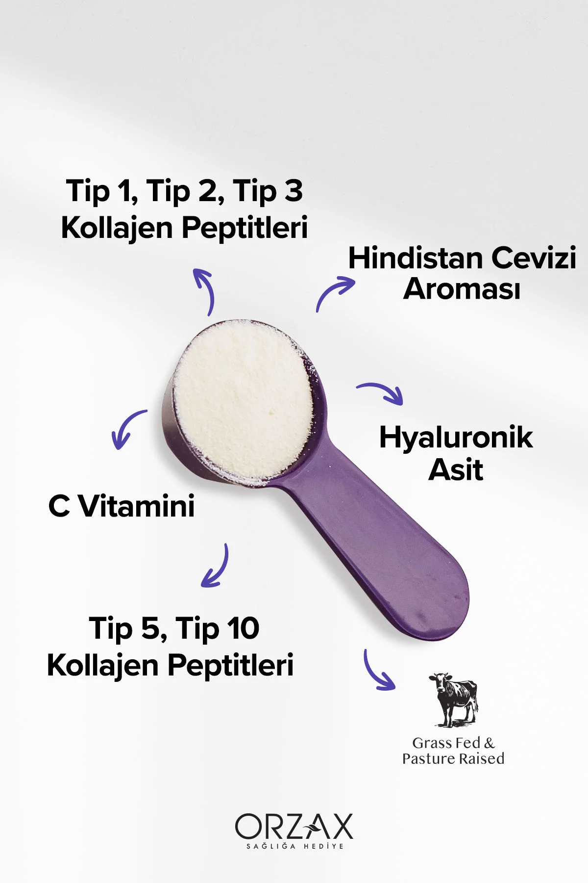 The Collagen MultiBalance Tip 1/ Tip 2/ Tip 3/ Tip 5/ Tip 10 Kolajen Toz Form 540 gr