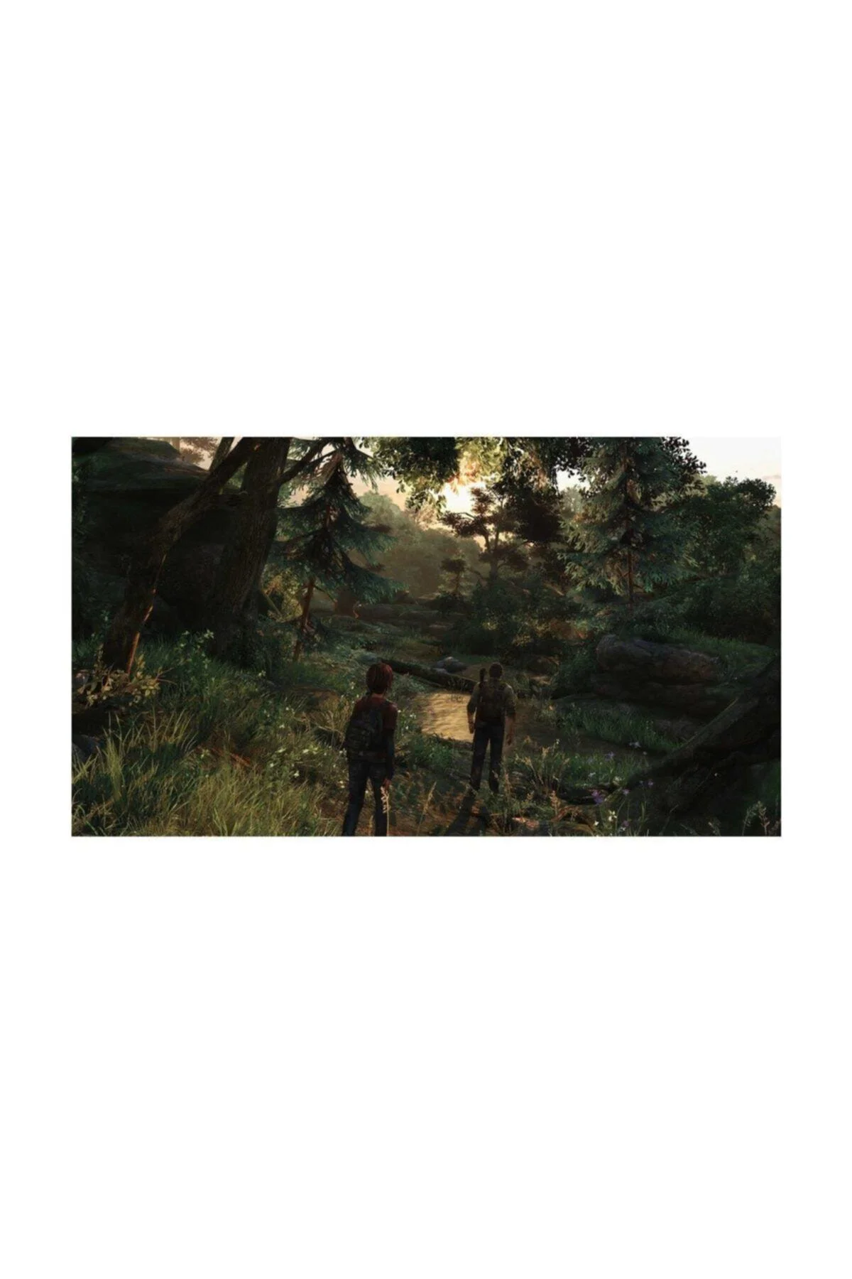 The Last Of Us Remastered Ps4 Oyun
