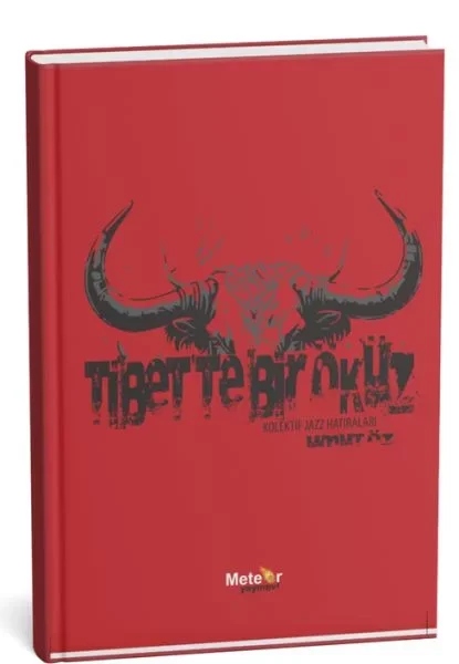 Tibet’te Bir Öküz