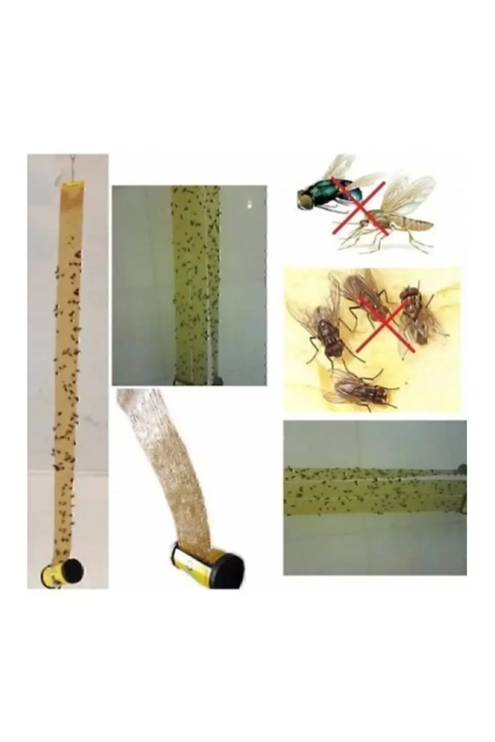 Tibtrap Yapışkan Karasinek Tuzağı Sinek Bandı garaccu 1 Kutu(4'LÜ