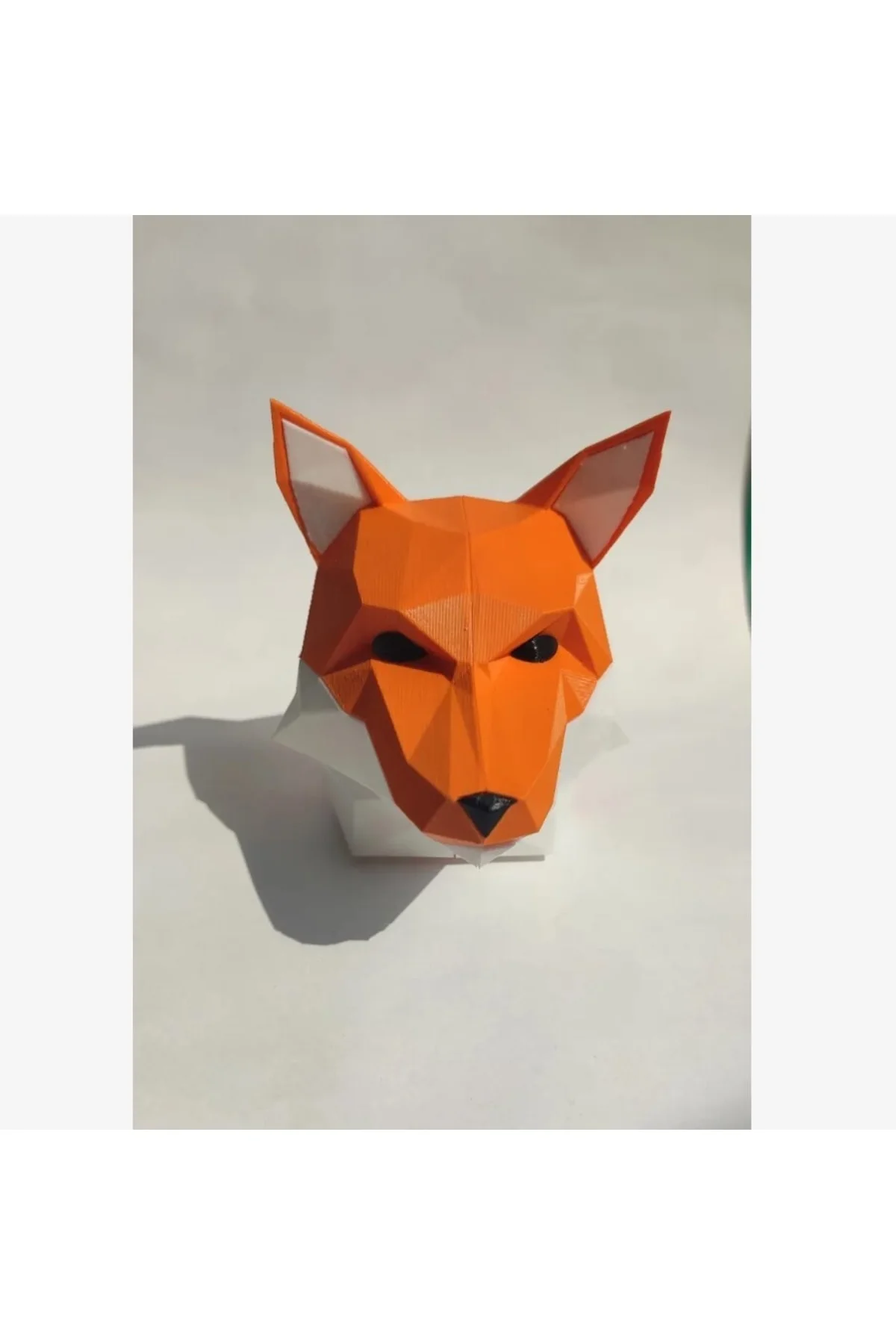 Tilki Başı Büst Fox Head