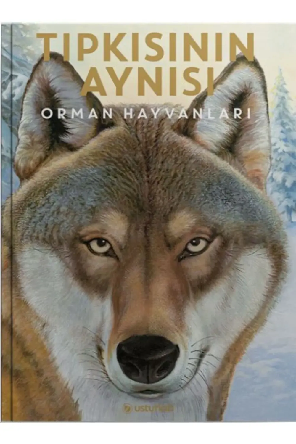 Tıpkısının Aynısı