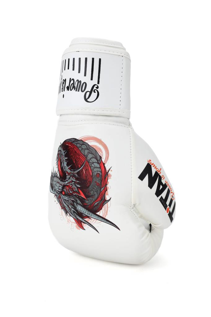 Titan Sport Titan Sport Ejderha Desenli Setli Fgr Model-11 Boks Eldiveni