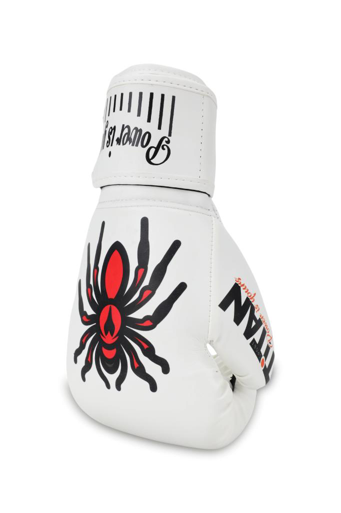 Titan Sport Titan Sport Örümcek Desenli Fgr Model-16 Boks Eldiveni