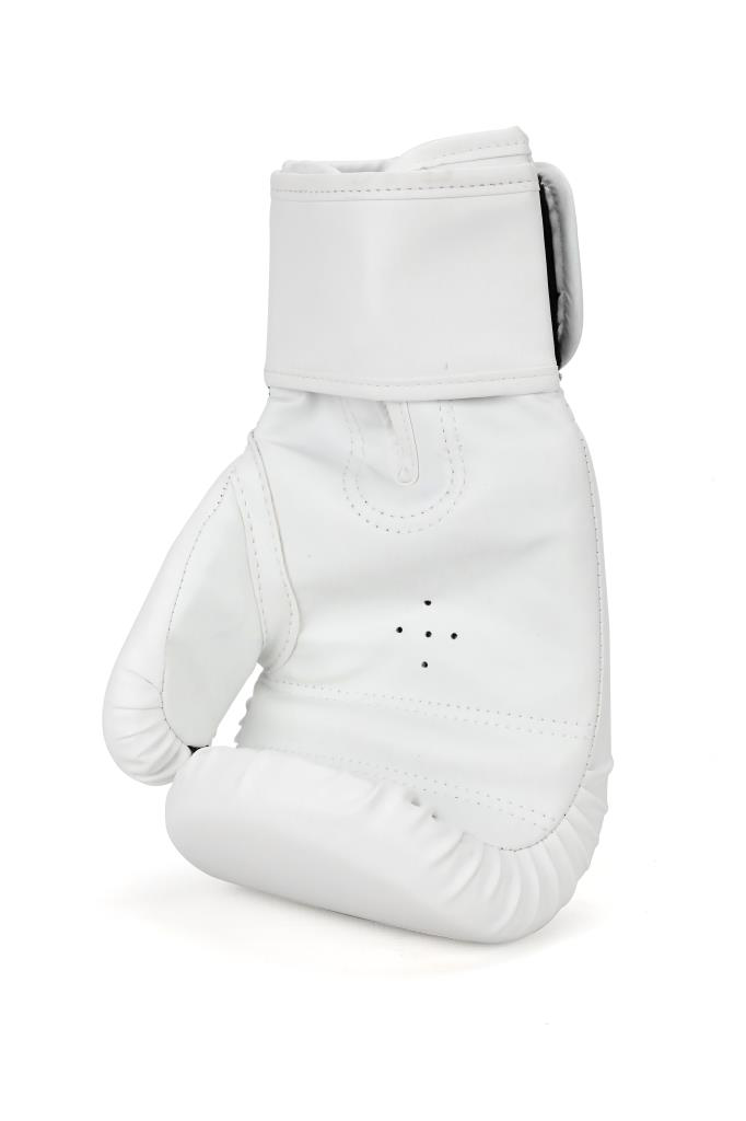 Titan Sport  Pitbull-2 Beyaz Boks Eldiveni