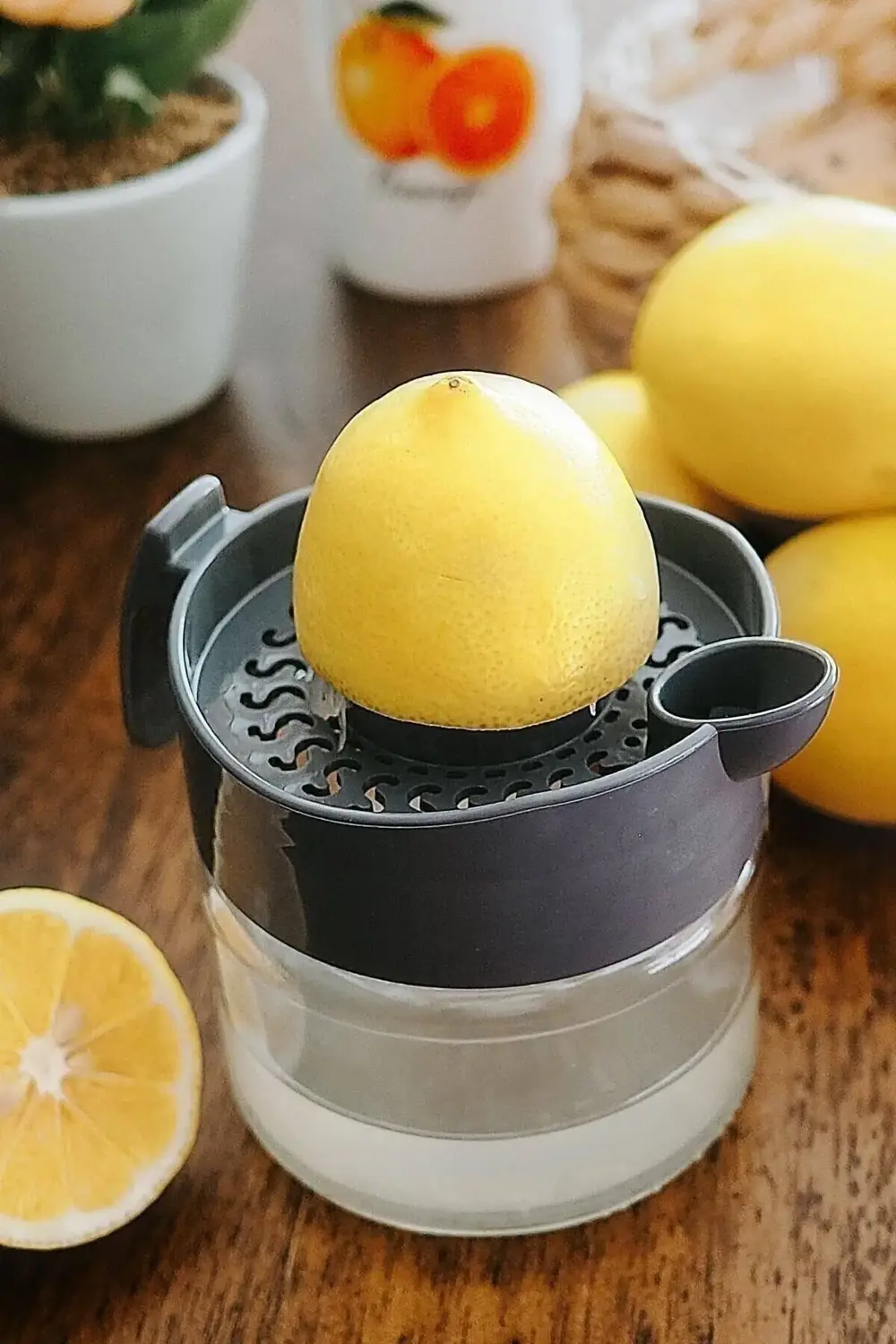 Titiz Lima D´or Limon Sıkacağı 300 Ml Kc-405 Kc-401