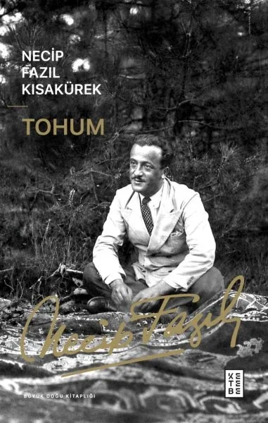 Tohum Fiyatı, Yorumları ve Özellikleri