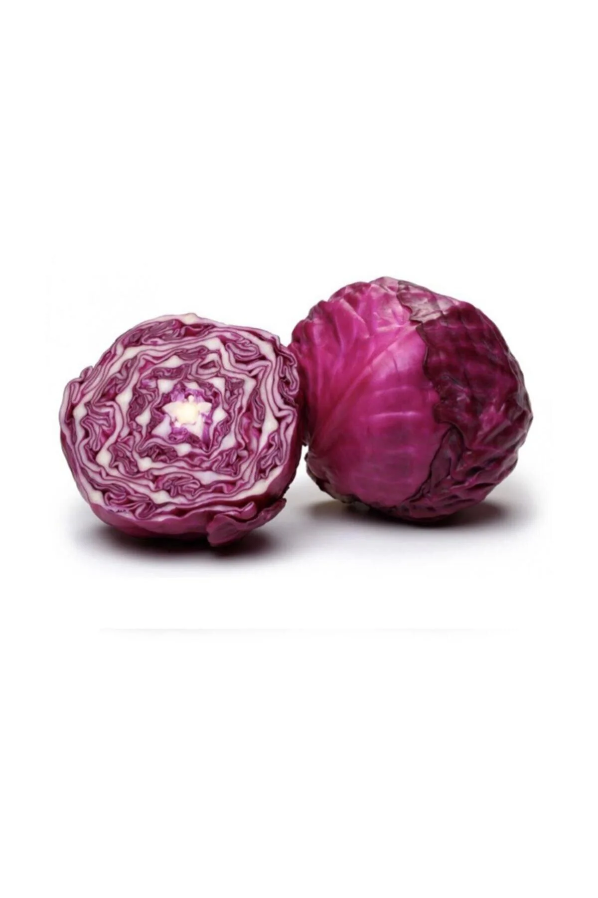 Tohumculuk Kırmız Lahana Zencibaş Tohumu 5 gr ( Ata Tohum )