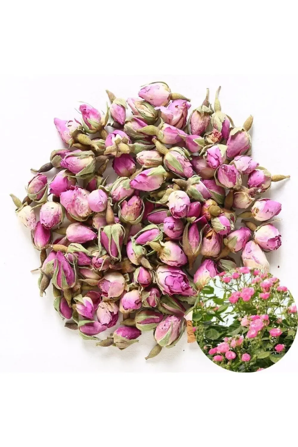 Tomurcuk Pembe Gül Kurusu (100 Gr)