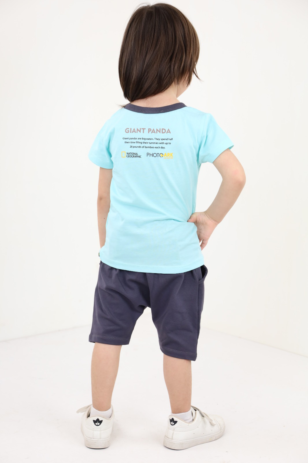 Toontoy Erkek Bebek Panda Baskılı Şortlu Takım