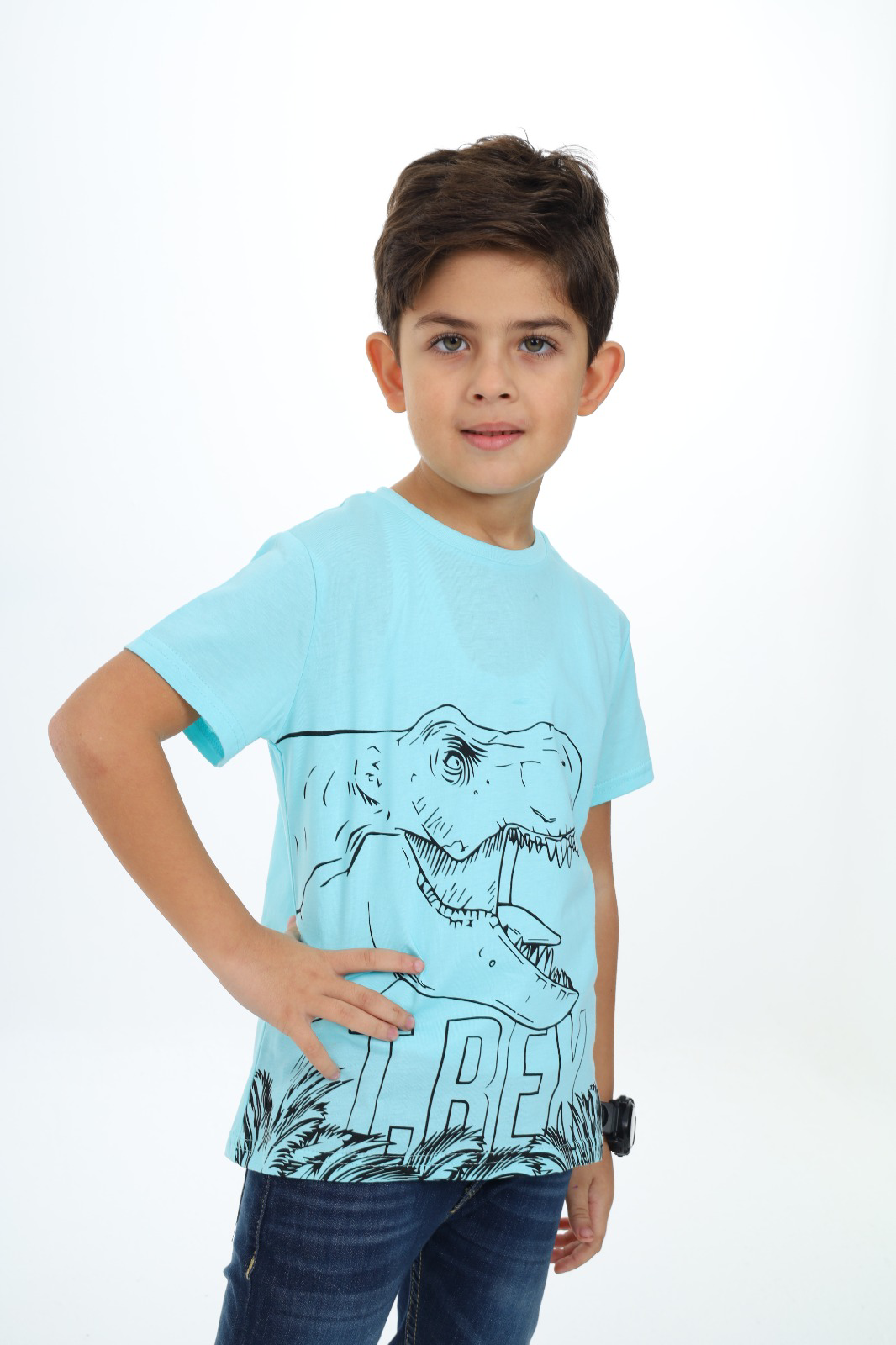 Toontoy Erkek Çocuk Trex Baskılı Tişört