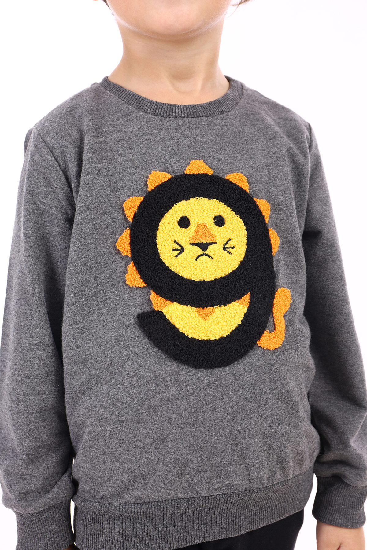 Toontoy Erkek Çocuk Eşofman Takım 9 Aslan Nakışlı